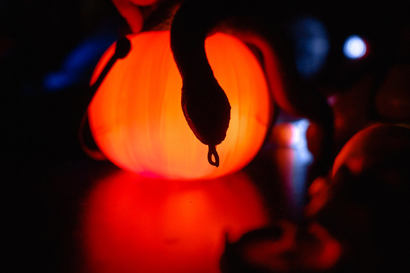 Украшение дома паутиной и летучими мышами к Хэллоуину в Дніпрі